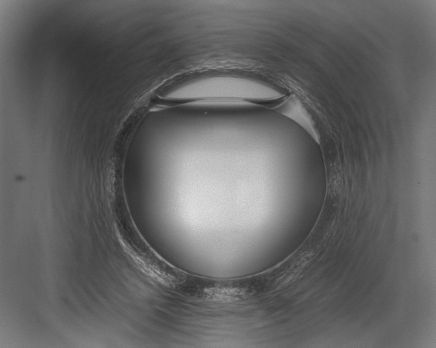 X0000082700448200702161754