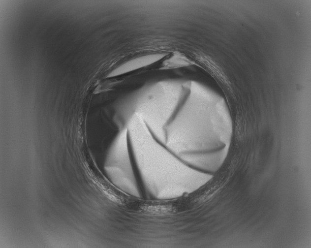 X0000082700449200702161754