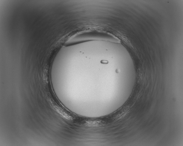 X0000082700450200702161754