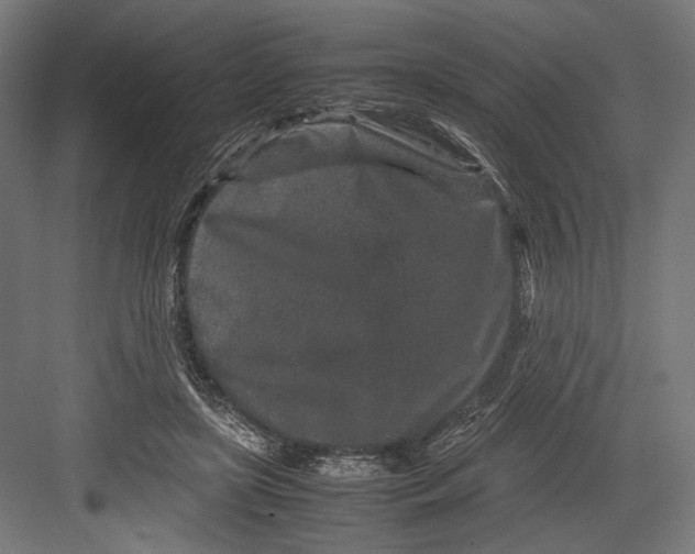 X0000082700451200702161754