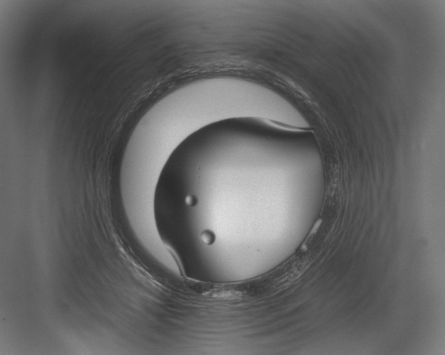 X0000082700452200702161754