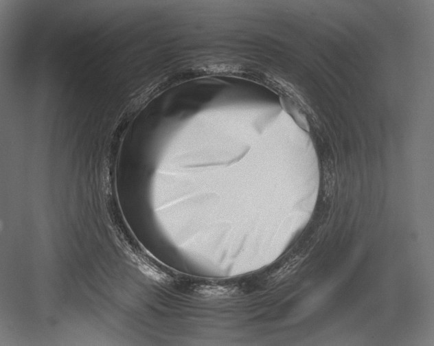 X0000082700453200702161754