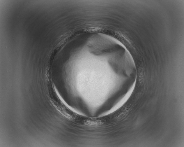 X0000082700455200702161754