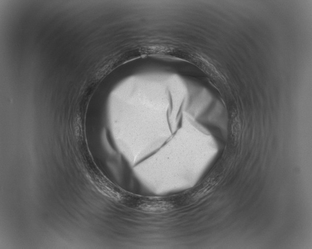 X0000082700459200702161754