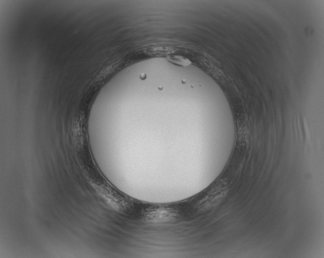 X0000082700460200702161754