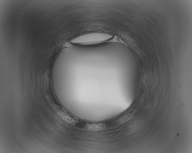 X0000082700461200702161754