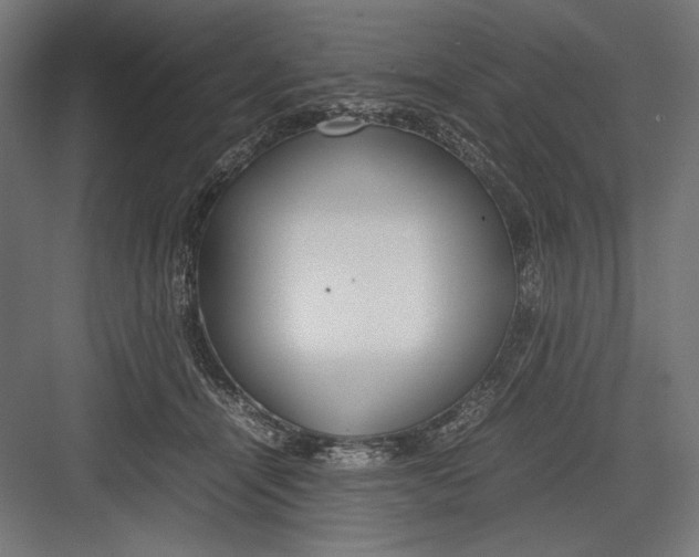 X0000082700464200702161754