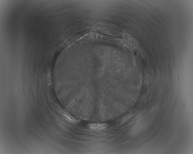 X0000082700465200702161754