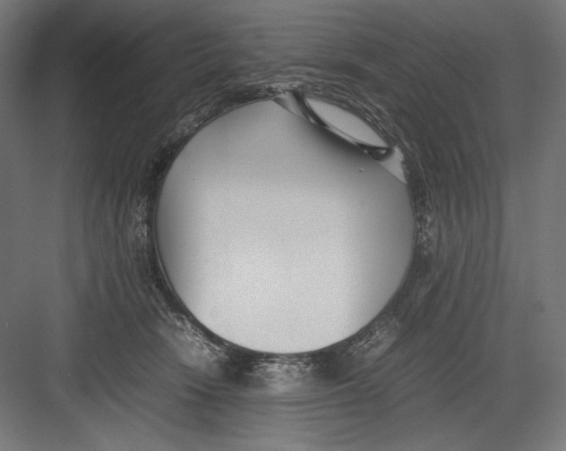 X0000082700466200702161754