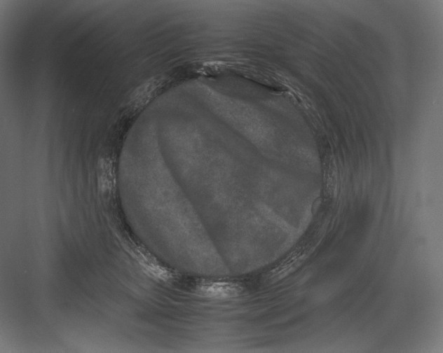 X0000082700467200702161754