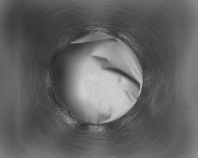 X0000082700469200702161754