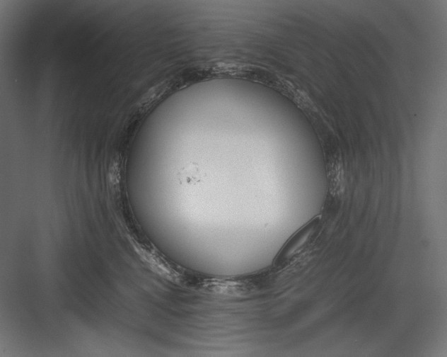 X0000082700472200702161754