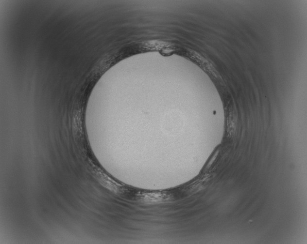 X0000082700473200702161754