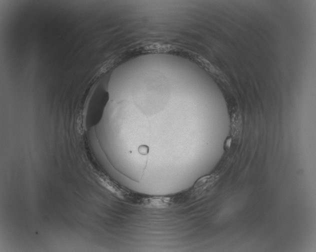 X0000082700474200702161754