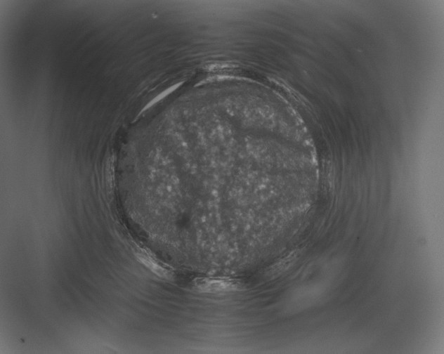 X0000082700475200702161754