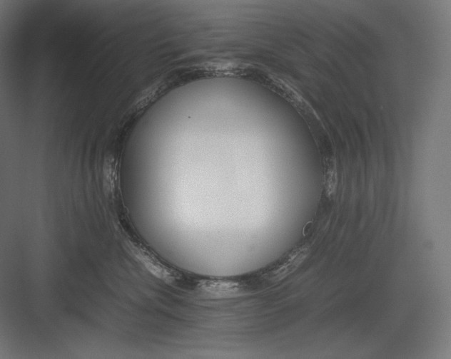 X0000082700476200702161754