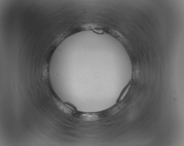 X0000082700477200702161754