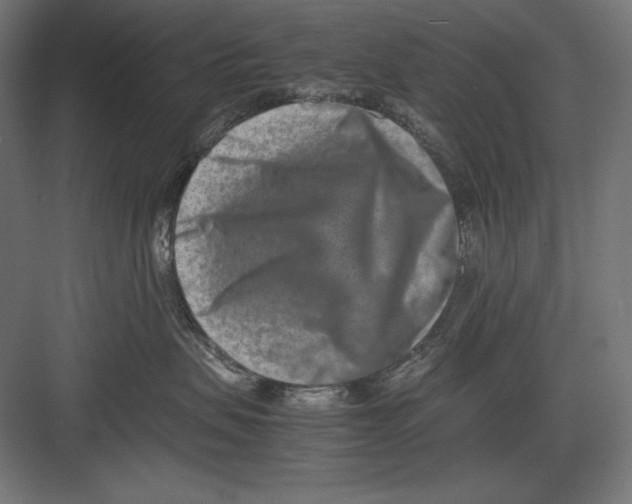 X0000082700479200702161754