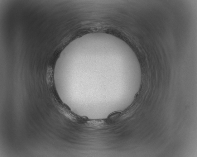 X0000082700480200702161754