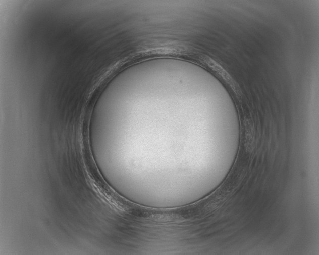 X0000082700482200702161754