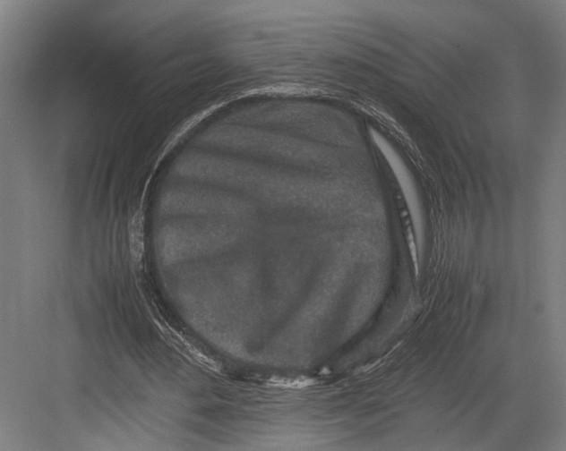 X0000082700484200702161754