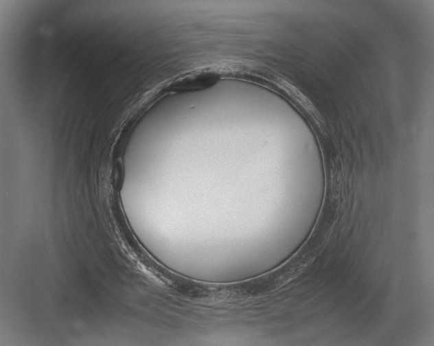 X0000082700485200702161754