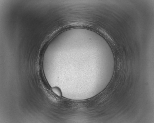 X0000082700486200702161754