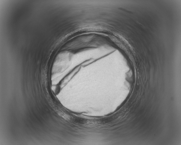 X0000082700487200702161753