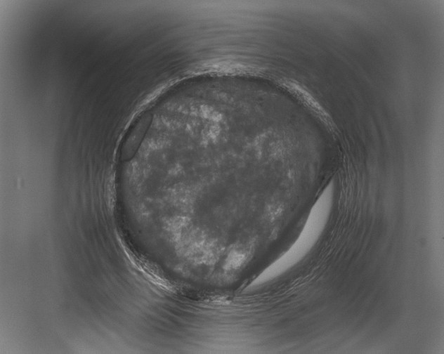 X0000082700488200702161753