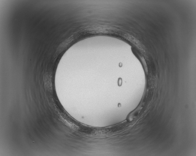 X0000082700489200702161753