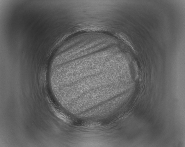 X0000082700491200702161753