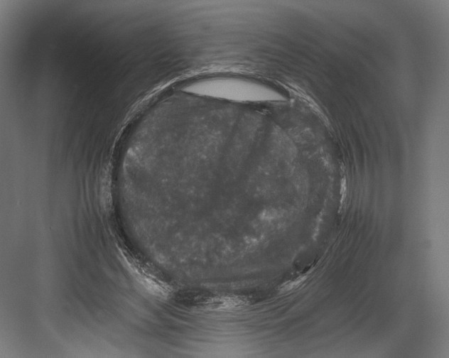 X0000082700492200702161753