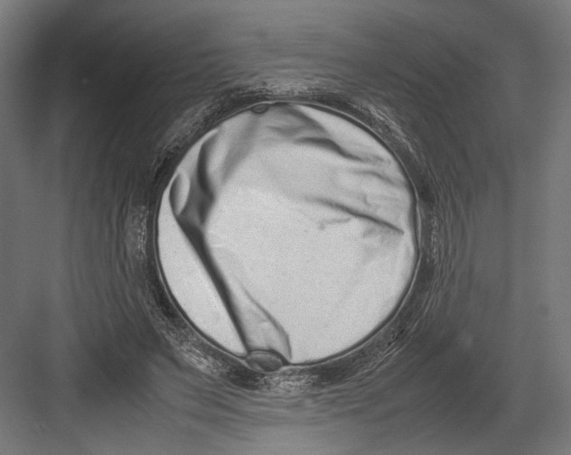 X0000082700495200702161753