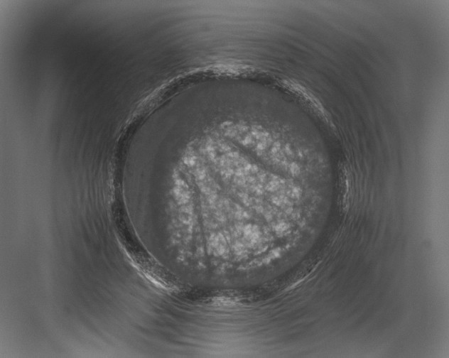 X0000082700496200702161753