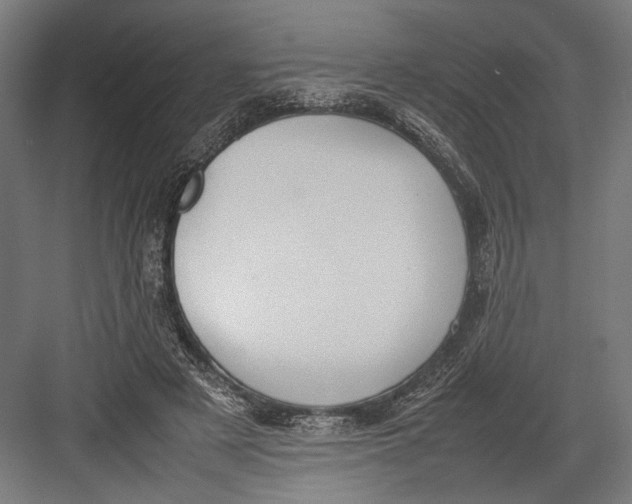 X0000082700497200702161753