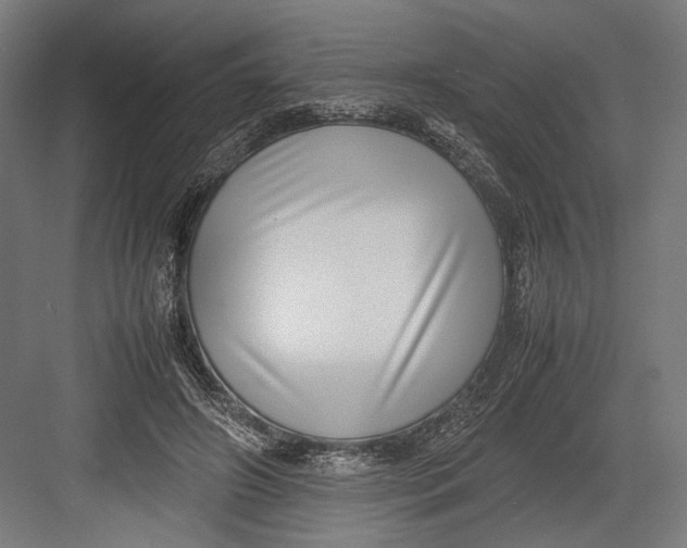 X0000082700498200702161753