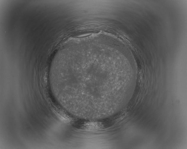 X0000082700499200702161753