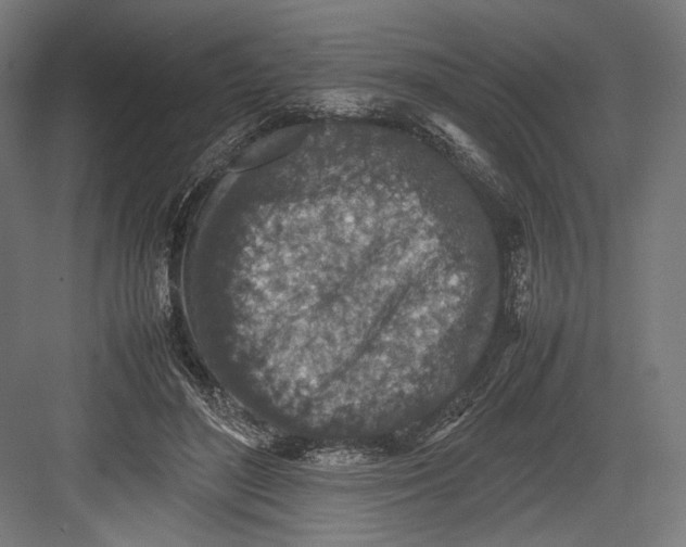 X0000082700500200702161753