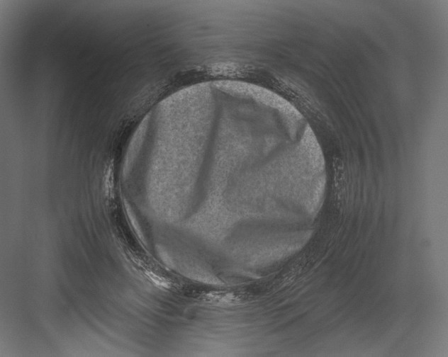 X0000082700502200702161753