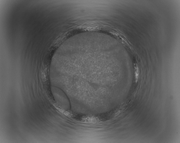 X0000082700503200702161753