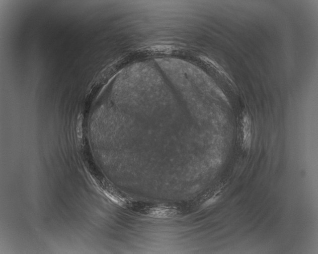 X0000082700504200702161753