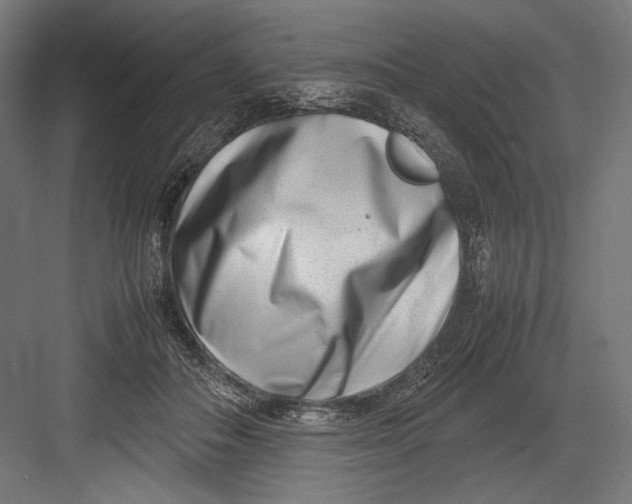 X0000082700506200702161753