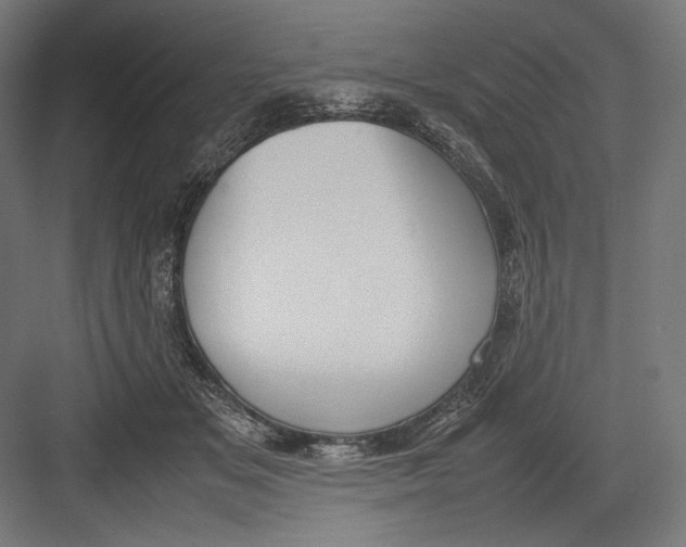 X0000082700509200702161753