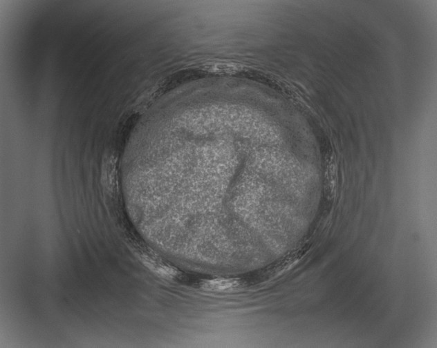 X0000082700511200702161753