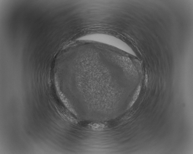 X0000082700512200702161753