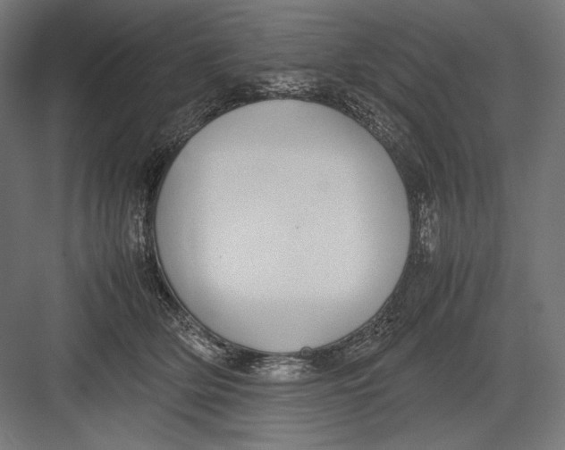 X0000082700514200702161753