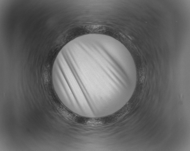 X0000082700515200702161753