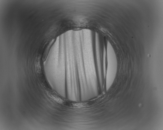 X0000082700516200702161753