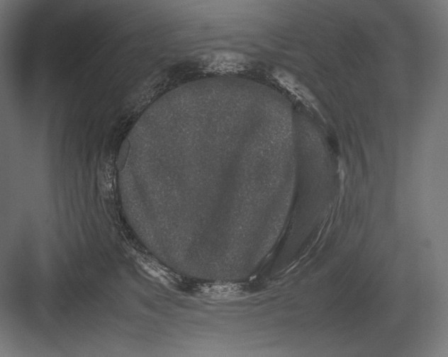 X0000082700517200702161753