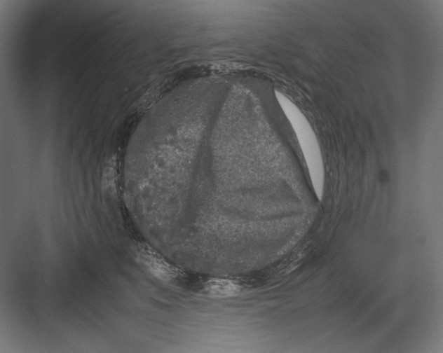 X0000082700519200702161753